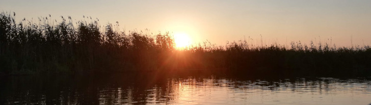 Apus in Delta Dunarii